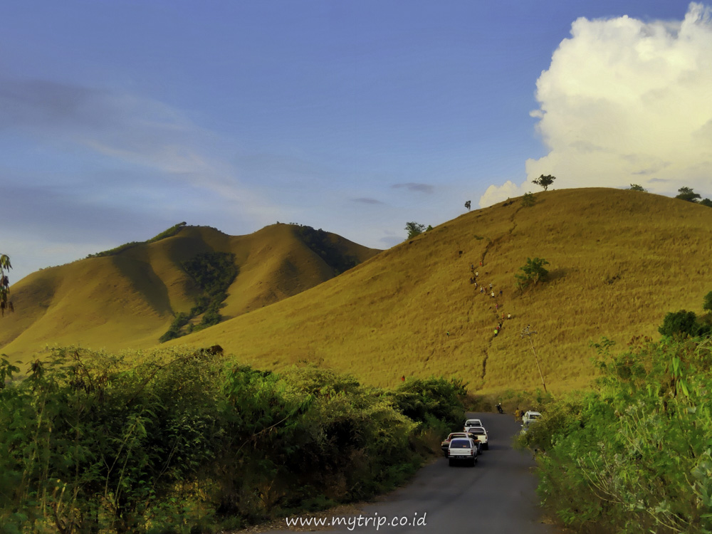 ADA BCL DI LEMBATA IYA BUKIT CINTA LEMBATA